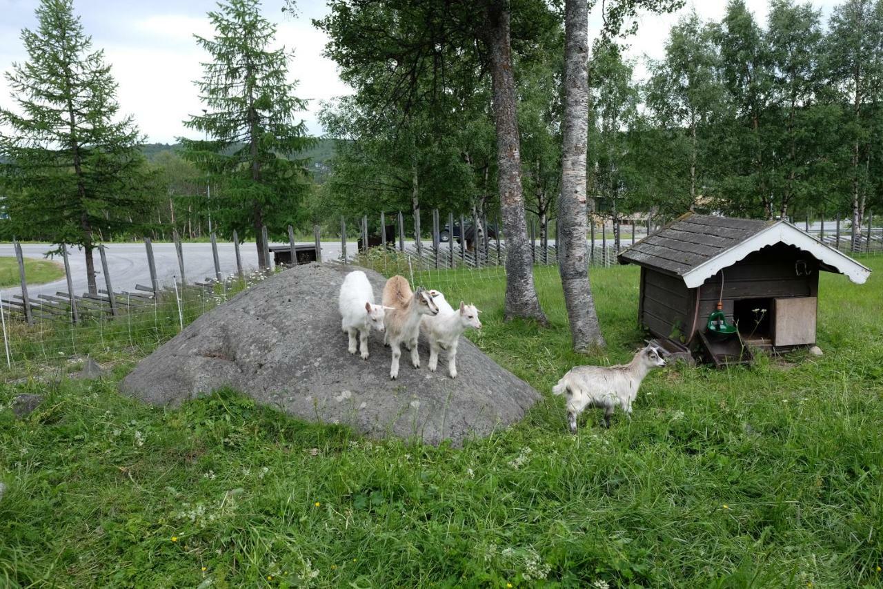 Appartement Fjelltun Fritidsleiligheter, 407 Geilo